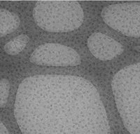 Graphene Oxide Support Film - 400 Mesh Copper Grids (pack Of 25) | Hydrophilic, Ideal For Cryo Tem Imaging, Low Background Contrast
