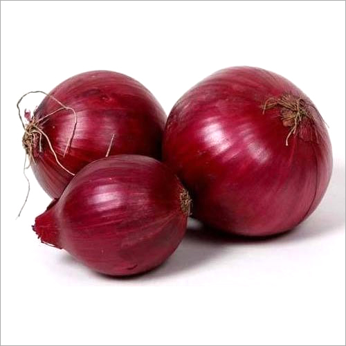 Fresh Red Onions Moisture (%): 98-100%