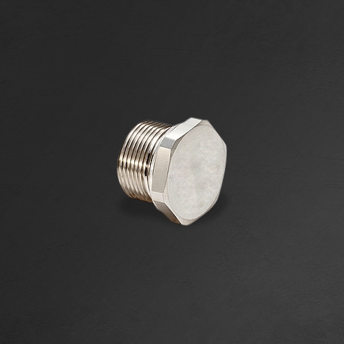 Brass Hexagonal Stop Plug By WOXTO INDUSTRIES PRIVATE LIMITED