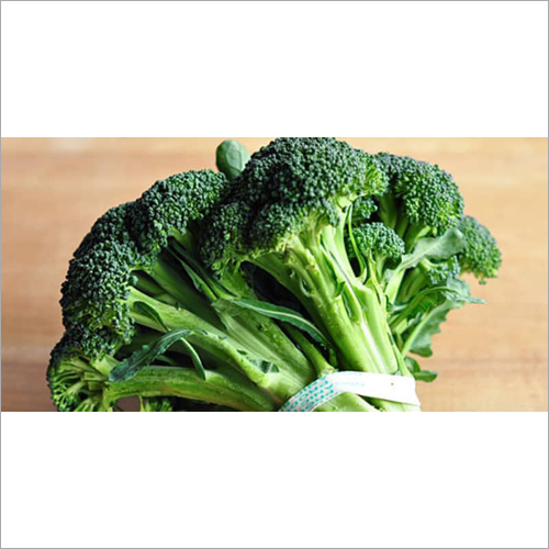Fresh Broccoli
