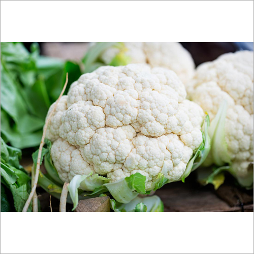 Fresh Cauliflower - Organic Natural Shape | High in Fiber and Choline Low Calorie Ideal for Boiling and Blending with Spices
