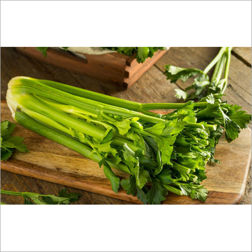 Fresh Celery - Organic Natural Shape | Source of Antioxidants Iron Additives Low Glycemic Index Easy to Chew Digestive Support
