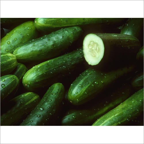 Fresh Cucumber - 15-25 cm Length Green 3-5 cm Diameter Crisp Texture | Nutrient Dense Antioxidant Rich Hydration Boost Culinary and Skincare Use