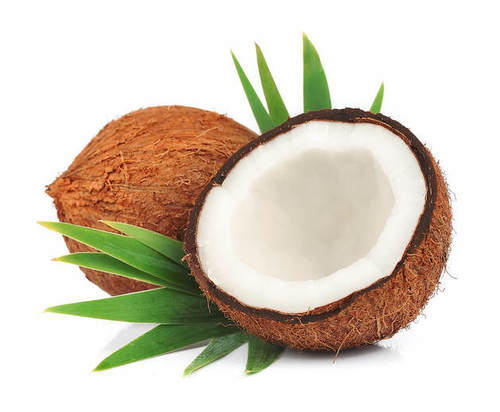 Mature Coconut - Whole, 500 kg | Organic Fresh Brown Semi-Husked Round Matured Coconut