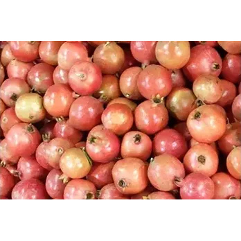 Organic Fresh Pomegranate