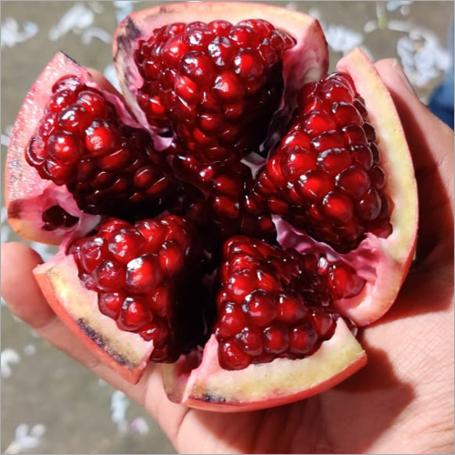 Organic Indian Pomegranate