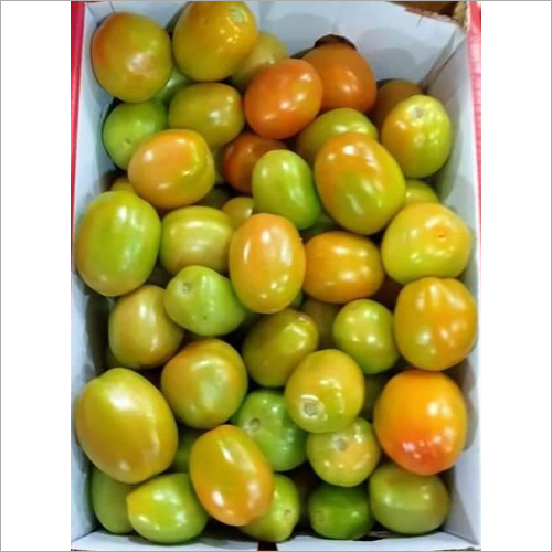 Organic Tomato