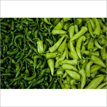 Natural Organic Green Chilli