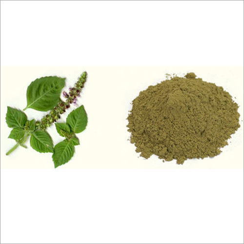 Holy Basil Powder By ALL HERBSCARE