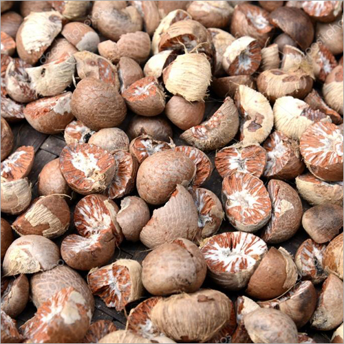 Betel Nut