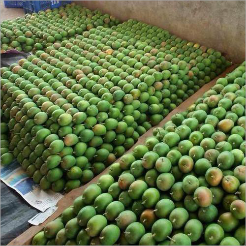 Ratnagiri Alphonso Mangoes