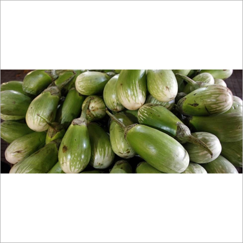 Fresh Brinjal