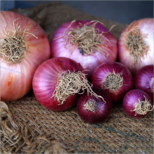 Fresh Onions