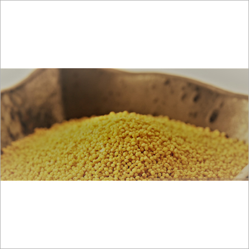Foxtail Millet