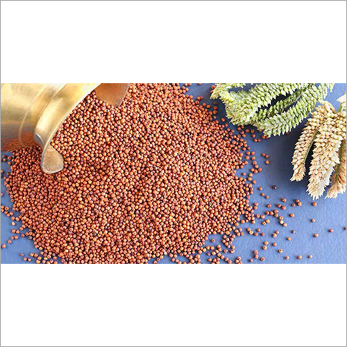 Ragi Grain