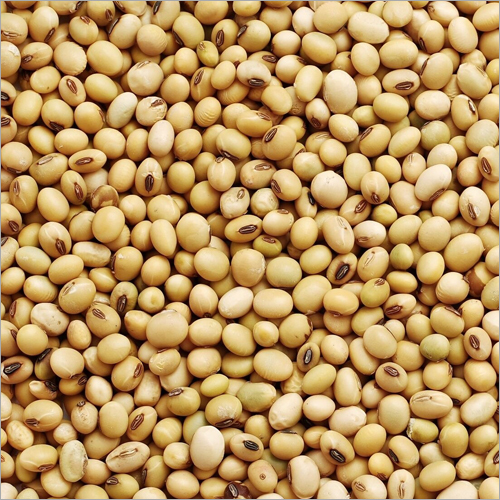 Soyabeans