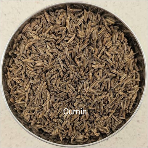 Cumin Seeds - Spice Grade, Raw Processing | Ideal for Flavor Enhancement in Raitas and Delicacies, Store in a Dry Place