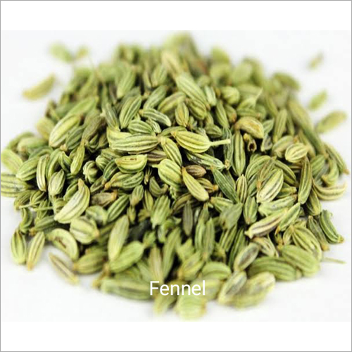 Fennel Seeds