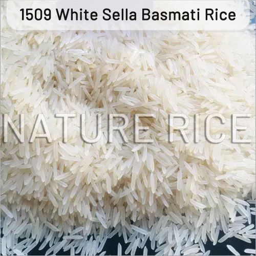 1509 Creamy Sella Basmati Rice