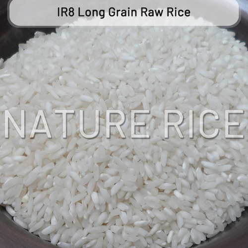 White Ir8 Long Grain Raw Rice