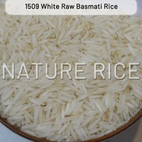 1509 Raw White Basmati Rice