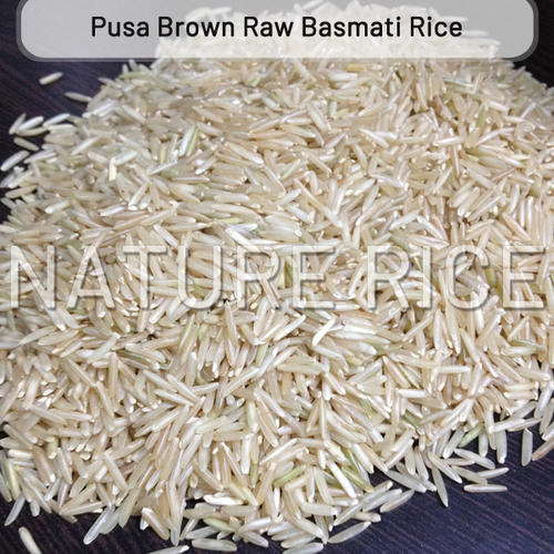 Pusa Brown Raw Basmati Rice