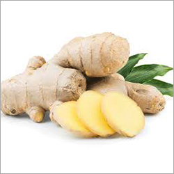 Fresh Ginger Moisture (%): 80-95%
