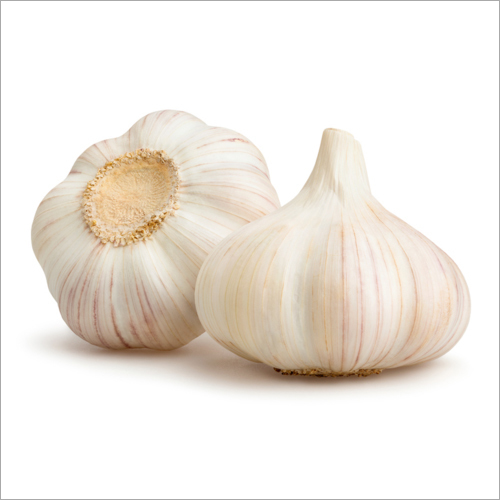 Fresh White Garlic Moisture (%): 70-95%