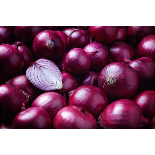 Fresh Red Onion