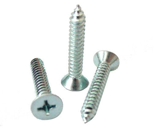 Prabhat Philips Self Tapping Flat Head Screws