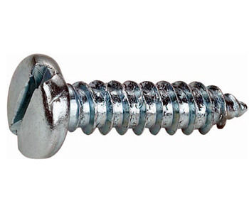 SS Self Tapping Screw