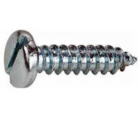 SS Self Tapping Screw