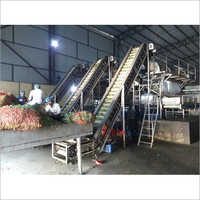 Green Peas Processing Plant