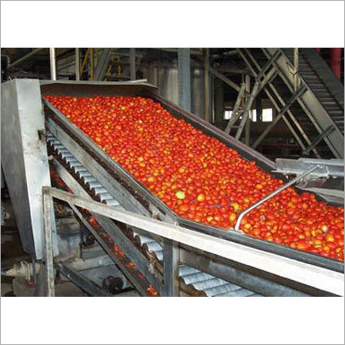 Stainless Steel Tomato Processing Line