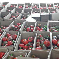 Bell Pepper / Color Capsicum