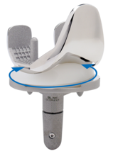Mobile Bearing Knee