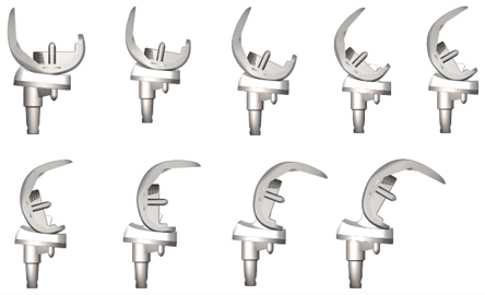 Fixed Bearing PS Knee