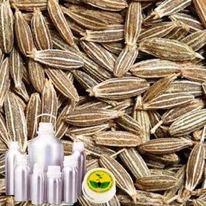 Cumin Seed Certified Organic Oil