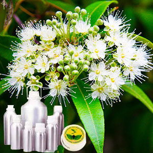 Lemon Myrtle Certified Organic Oil