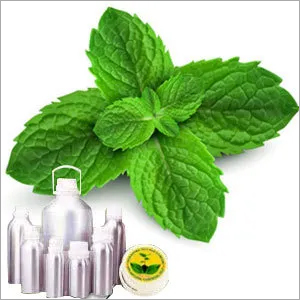 Peppermint Certified Organic Oil