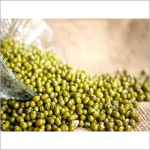 Dried Green Beans Broken (%): Nil