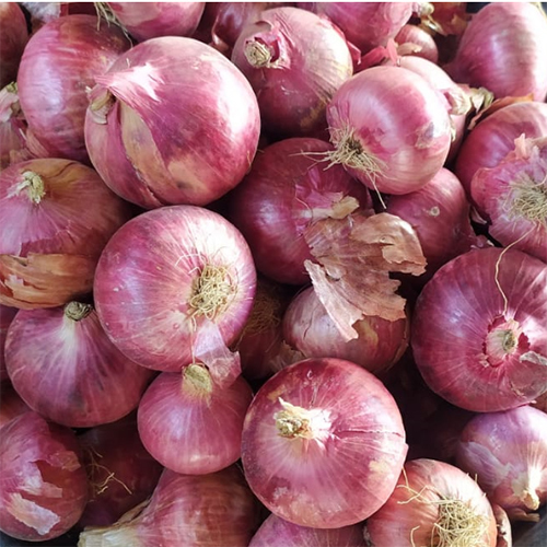 Indian Onion