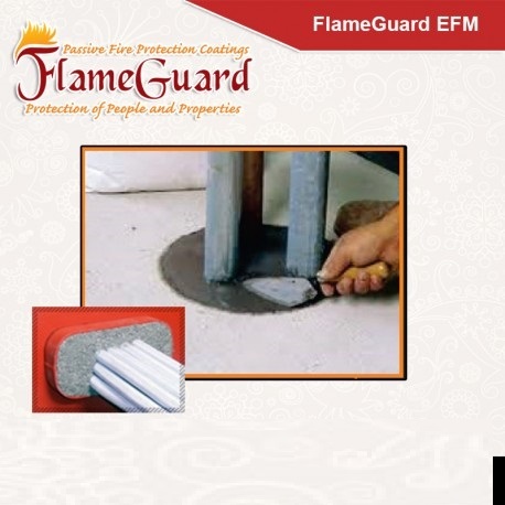 FlameGuard EFM