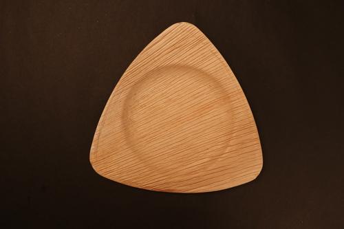 Triangle Shape Areca Leaf Plates