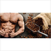 Body Fitness Supplements