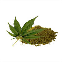 Plant Protein Powder
