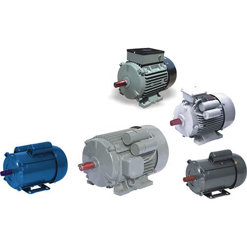 Oswal Squirrel Cage Induction Motor
