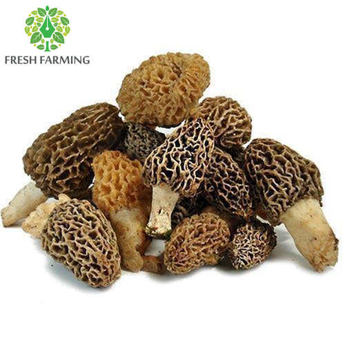 Premium Kashmiri Wild Mushroom By FRESH FARMING