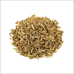 Cumin Seed