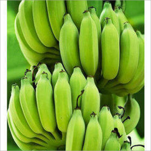 Fresh Green Banana